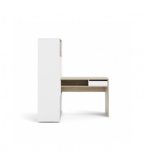 Feynman L-shape Desk with Bookcase